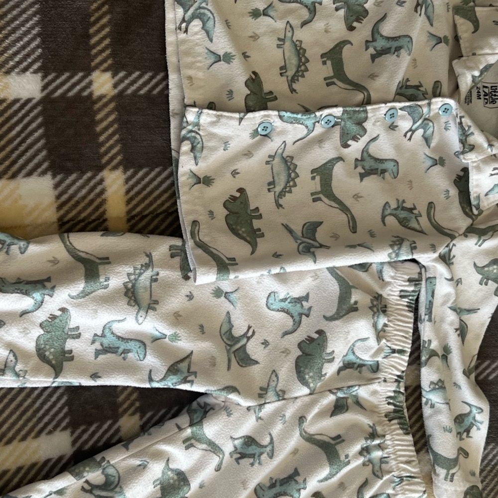 Dinosaur Print Pajama Set